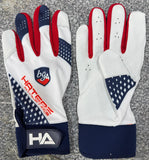 Batting Gloves - BG4 SigSeries